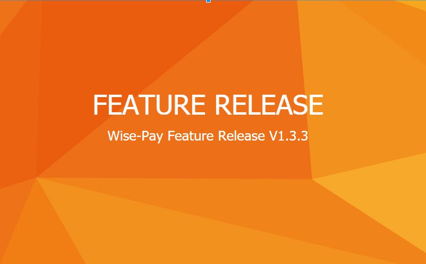 Wise-Pay Release: v1.3.3 - Recap