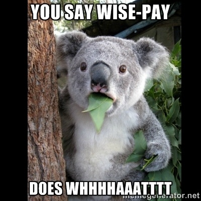 Building a Wiser Wise-Pay (Version Release: v1.3.1)