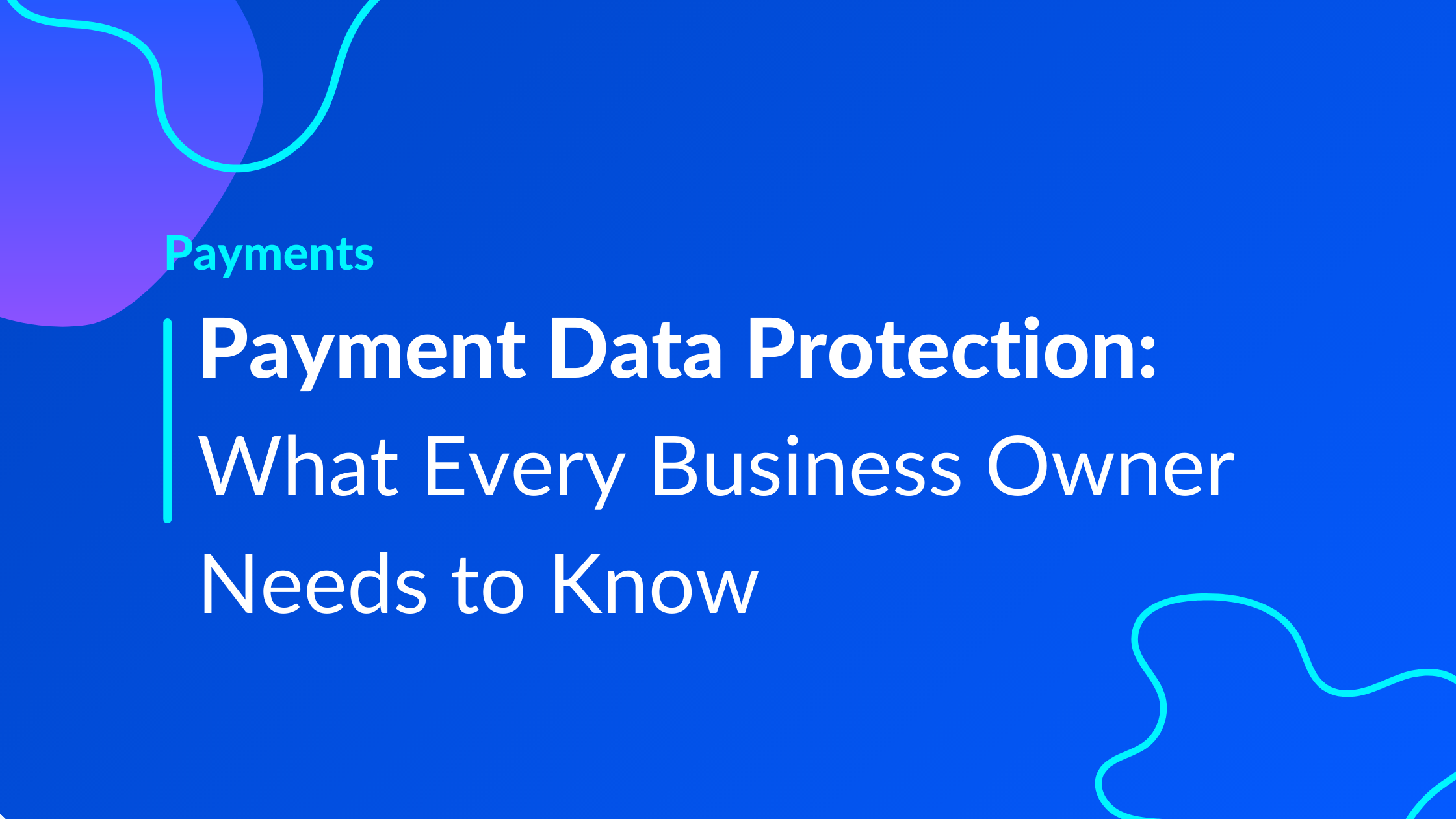 Payment Data Protection: What Every Business Owner Needs to Know