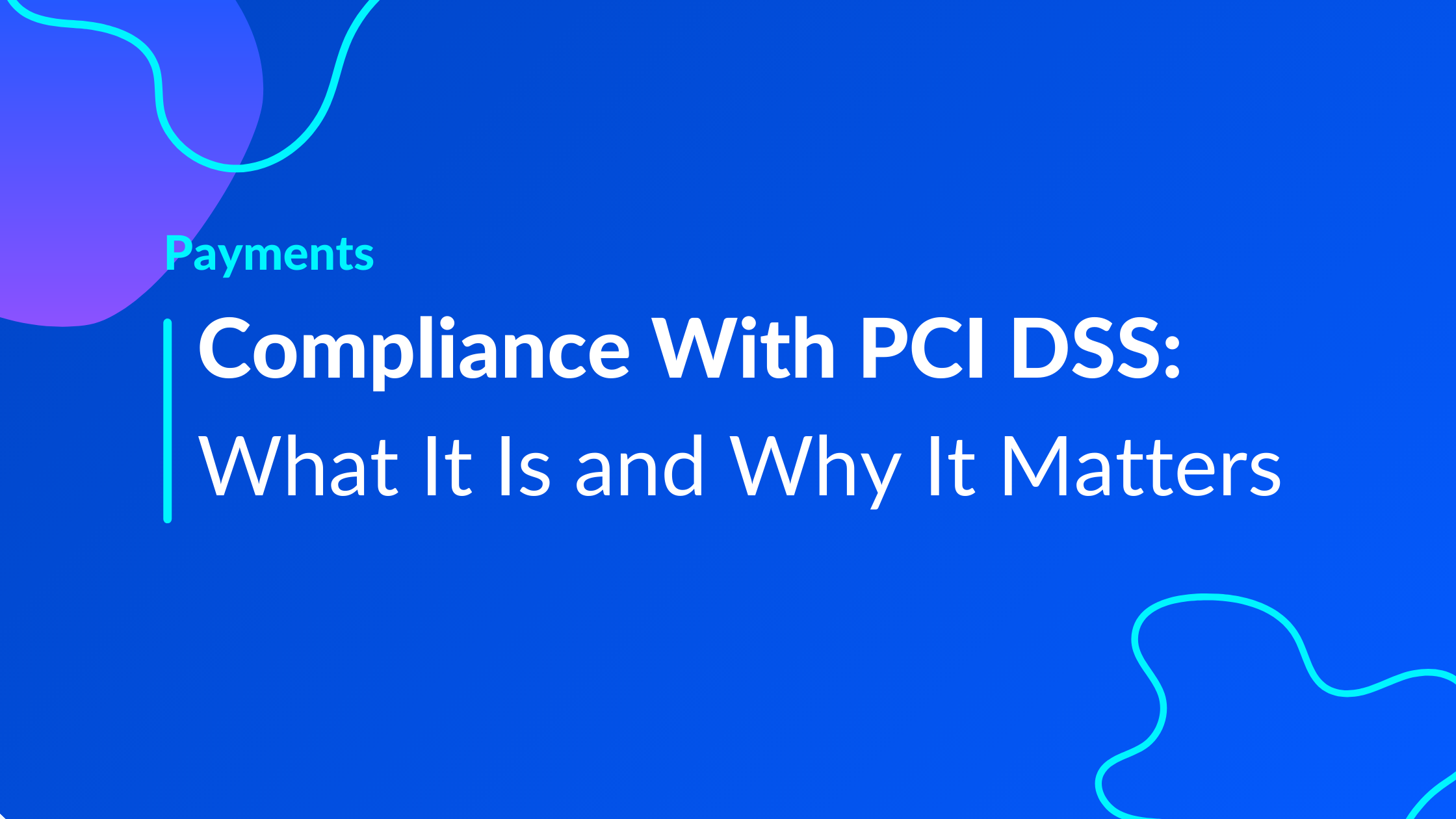 Compliance With PCI DSS: What It Is and Why It Matters