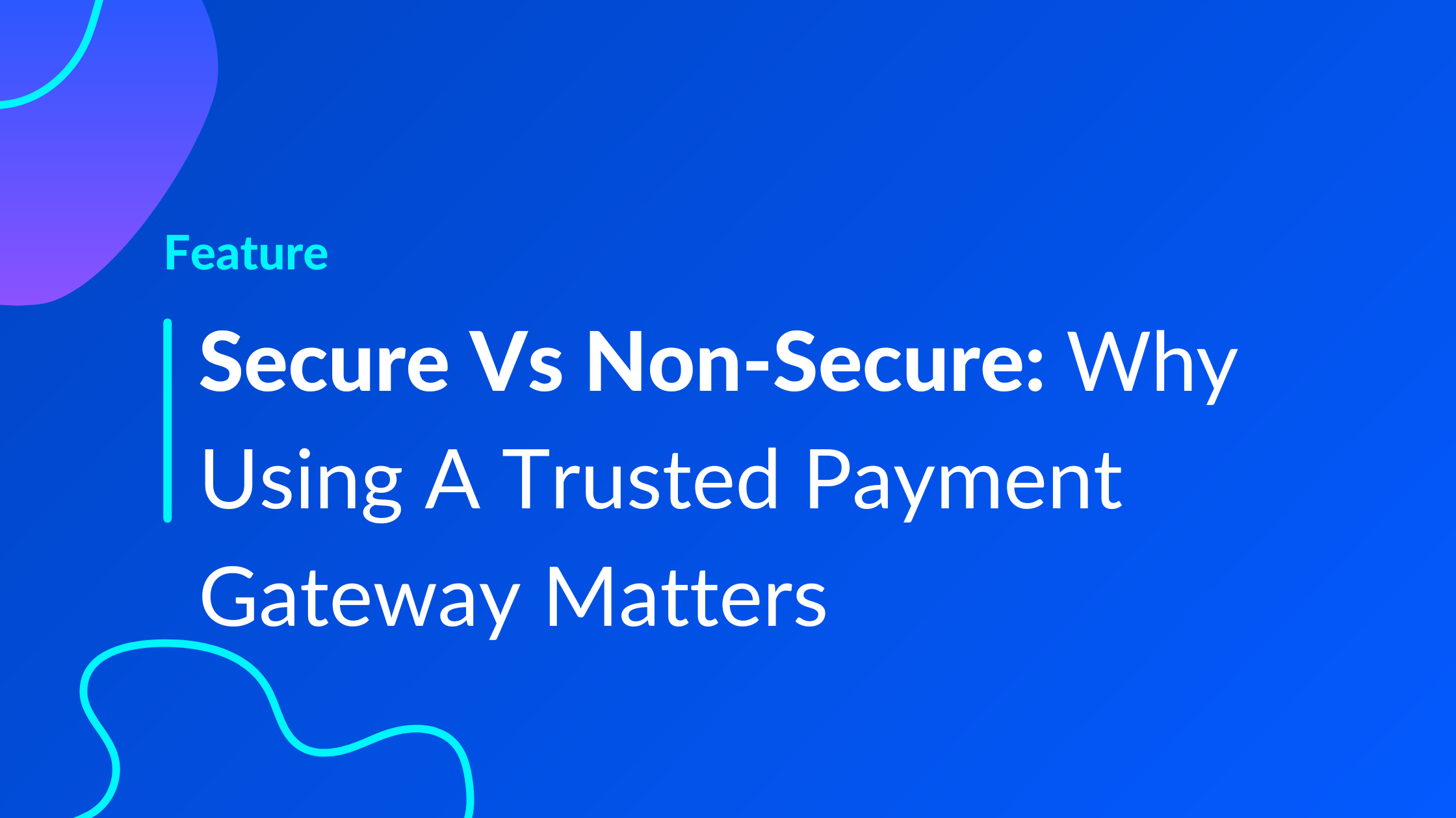 Secure Vs Non-Secure: Why Using A Trusted Payment Gateway Matters